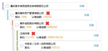 重庆普丰商务信息咨询有限责任公司 商务信息咨询服务的领航者